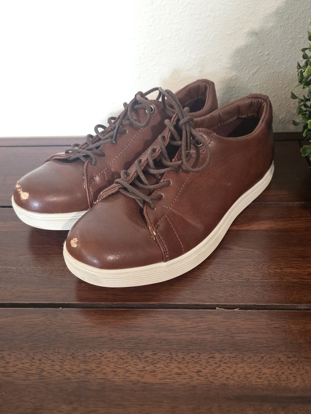 Steve Madden Size 4 Brown Low-Top Sneakers